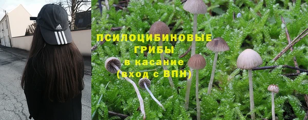 гидра Россошь