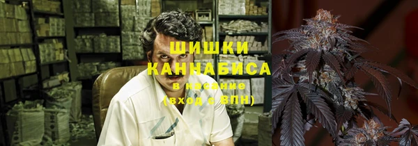 mix Богородицк