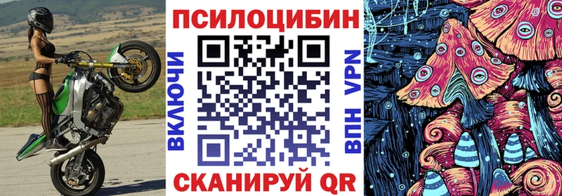 купить наркотики цена  Тихвин  Псилоцибиновые грибы мухоморы 